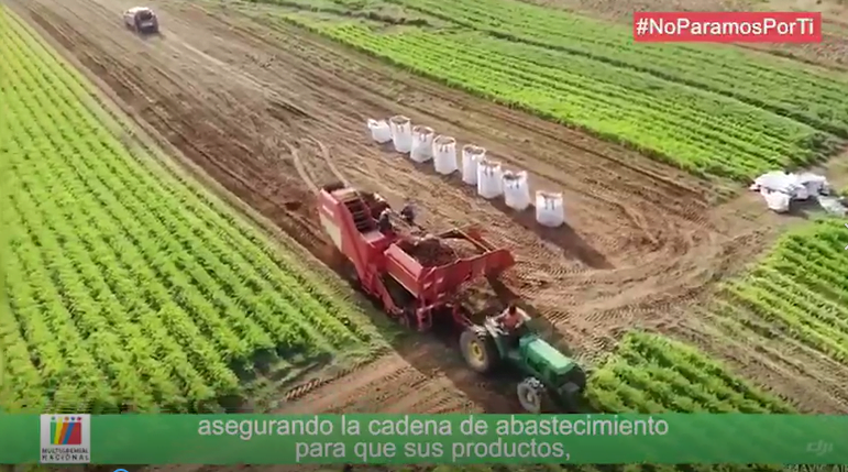 #Noparamosporti